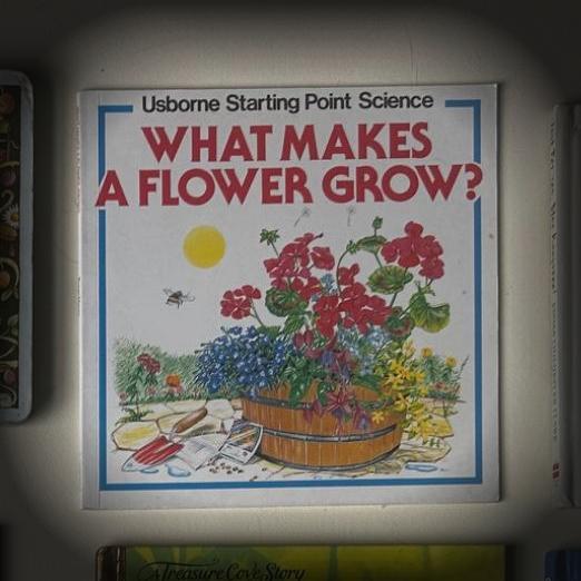 What Makes a Flower Grow?