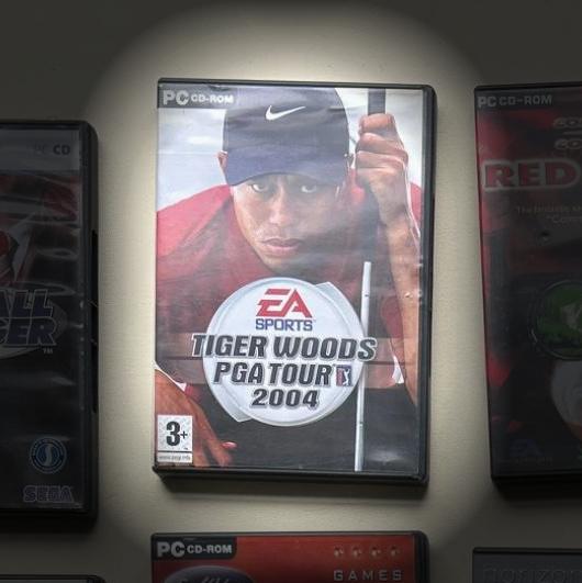 Tiger Woods PGA Tour 2004