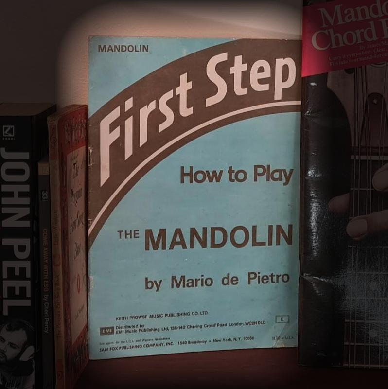 First Step: How to Play the Mandolin