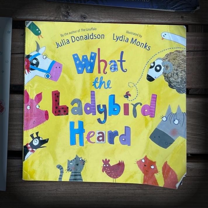 What the Ladybird Heard