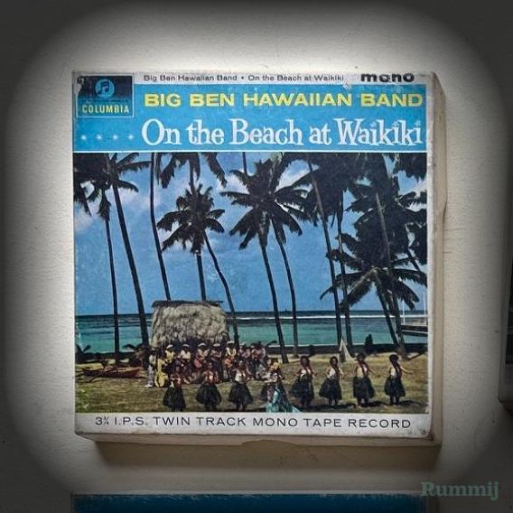 On the Beach at Waikiki