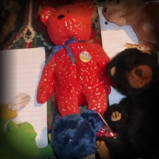 T Y Red Bear