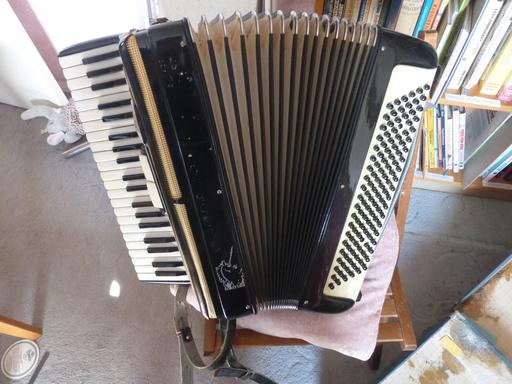 120 bass Frontalini "ladies" Accordion 2