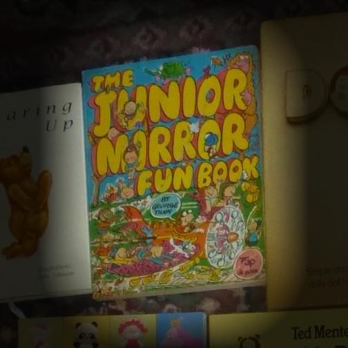 The Junior Mirror Fun Book