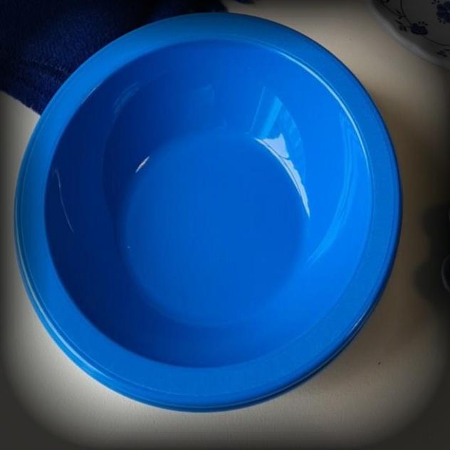 Blue Plastic Bowl